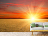 Fototapete Der Sonnenuntergang