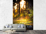 Fototapete Der Wald im Hintergrund