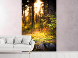 Fototapete Der Wald im Hintergrund