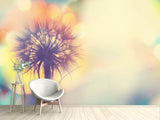 Fototapete Die Pusteblume im Licht