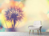 Fototapete Die Pusteblume im Licht