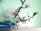 Fototapete Die japanische Kirschblüte