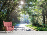 Fototapete Sonniger Waldweg