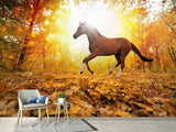 Fototapete Vollblut im Herbstwald
