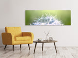 Leinwandbild Panorama Pusteblume XL im Morgentau