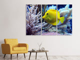 Leinwandbild 3-teilig Gelber Doktorfisch XL