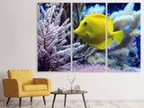 Leinwandbild 3-teilig Gelber Doktorfisch XL