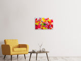 Leinwandbild 3-teilig Bunte Bonbons