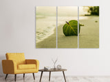 Leinwandbild 3-teilig Strand-Blatt