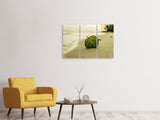 Leinwandbild 3-teilig Strand-Blatt