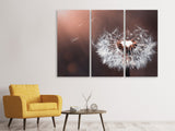 Leinwandbild 3-teilig Pusteblume im Abendlicht