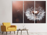 Leinwandbild 3-teilig Pusteblume im Abendlicht