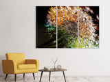Leinwandbild 3-teilig Pusteblume im Morgentau