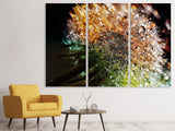 Leinwandbild 3-teilig Pusteblume im Morgentau
