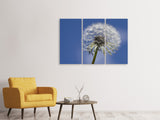 Leinwandbild 3-teilig Die Pusteblume in XXL