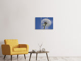 Leinwandbild 3-teilig Die Pusteblume in XXL