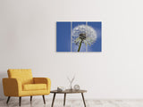 Leinwandbild 3-teilig Die Pusteblume in XXL