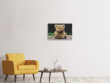 Leinwandbild 3-teilig Love Teddy