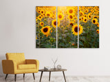 Leinwandbild 3-teilig Sonnenblumen Feld