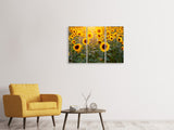 Leinwandbild 3-teilig Sonnenblumen Feld