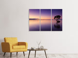 Leinwandbild 3-teilig Sonnenuntergang am Baum im Wasser