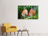 Leinwandbild 3-teilig 2 Fische