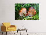 Leinwandbild 3-teilig 2 Fische