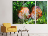 Leinwandbild 3-teilig 2 Fische