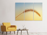 Leinwandbild 3-teilig Ziergrass in XXL