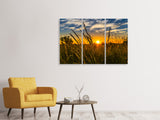 Leinwandbild 3-teilig Der Sonnenuntergang auf dem Feld