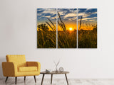 Leinwandbild 3-teilig Der Sonnenuntergang auf dem Feld