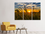 Leinwandbild 3-teilig Der Sonnenuntergang auf dem Feld