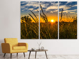 Leinwandbild 3-teilig Der Sonnenuntergang auf dem Feld