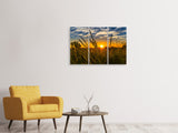Leinwandbild 3-teilig Der Sonnenuntergang auf dem Feld