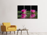 Leinwandbild 3-teilig Seerosen Duo in pink