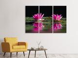 Leinwandbild 3-teilig Seerosen Duo in pink