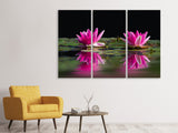 Leinwandbild 3-teilig Seerosen Duo in pink