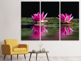 Leinwandbild 3-teilig Seerosen Duo in pink