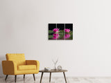 Leinwandbild 3-teilig Seerosen Duo in pink