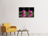 Leinwandbild 3-teilig Seerosen Duo in pink