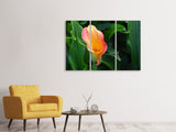 Leinwandbild 3-teilig Wilde Calla