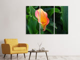 Leinwandbild 3-teilig Wilde Calla