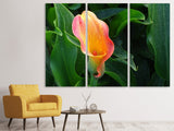 Leinwandbild 3-teilig Wilde Calla
