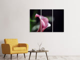 Leinwandbild 3-teilig Calla in lila