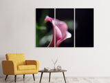 Leinwandbild 3-teilig Calla in lila