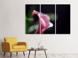 Leinwandbild 3-teilig Calla in lila