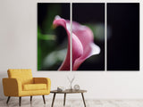 Leinwandbild 3-teilig Calla in lila