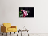 Leinwandbild 3-teilig Calla in lila