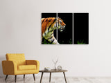 Leinwandbild 3-teilig Imposanter Tiger