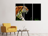 Leinwandbild 3-teilig Imposanter Tiger